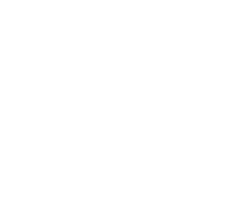 Blue Ridge Ortus Logo